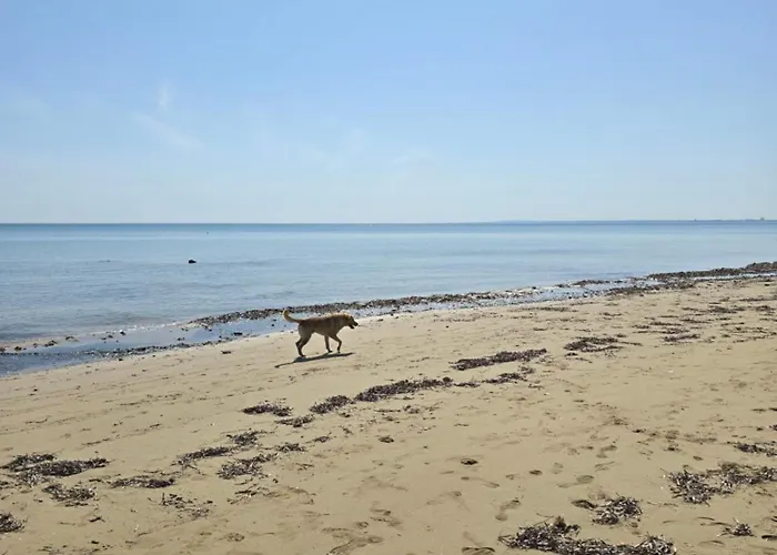 Wakacyjny W Courtyard Long Iskele District (Northern Cyprus)